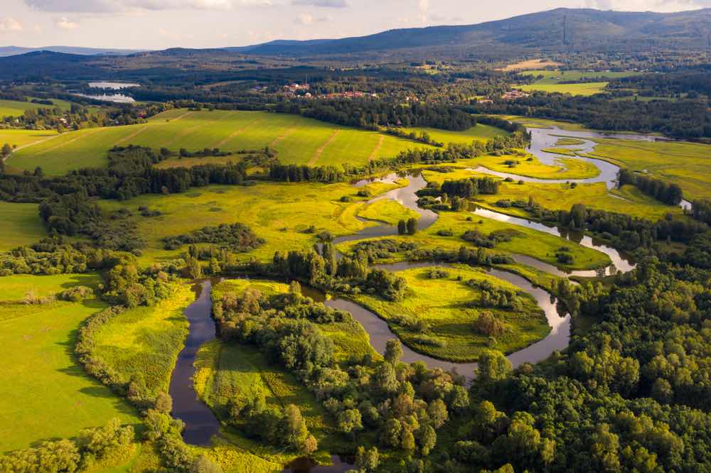 Чеський заповідний регіон Шумава - рай для любителів трекінгу. Джерело: Shutterstock.